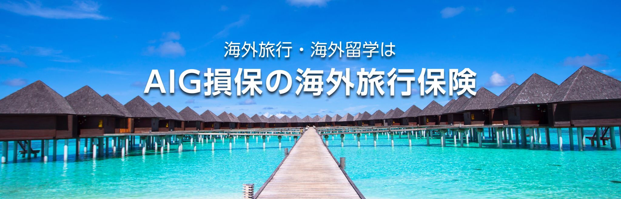 海外旅行・海外留学はAIG損保の海外旅行保険