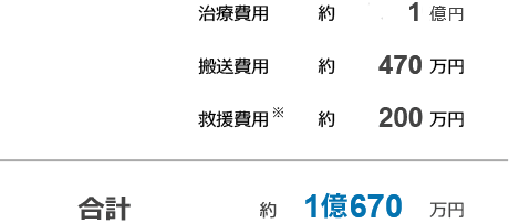 治療費用 約8,000万円 救援者費用※ 約200万円 輸送費用 約250万円 合計 8,450万円