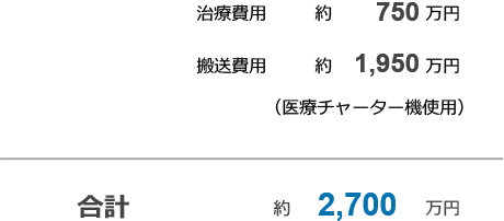 治療費用 約430万円 搬送費用※ 約2,00万円 (医療チャーター機使用) 合計 2,430万円