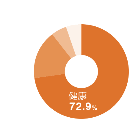 海外でのトラブル原因割合を表した円グラフ 健康72.9% 手荷物16.4% 飛行機5.2% その他5.5%