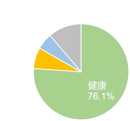 海外でのトラブル原因割合を表した円グラフ 健康76.1% 手荷物7.1% 飛行機5.5% その他11.3%